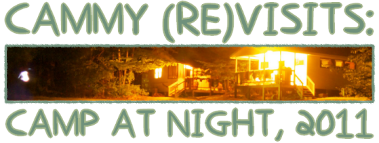Cammy Revisits: Camp at Night 2011