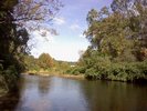 The creek!