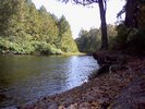 A rooted overhang over the creek