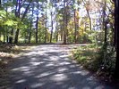 A shaded path past the parking lot