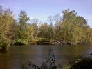 More creek, more pretty trees