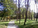 A more open trail