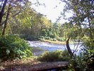 The creek in the distance