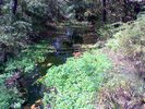 Swampland