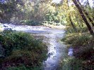 More of the creek in the distance