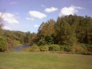 A wide open space with more trees in the background