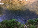 Peeking down into the water from the cliffside