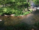 Gazing across the creek from the cliffside