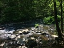 An especially rocky part of the creek