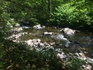 An especially rocky part of the creek