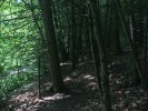 A winding bit of trail