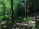A winding bit of trail