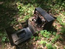The inside of an RCA TV reclaimed by nature