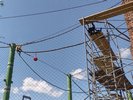 Some monkies enjoying time on their scaffolding