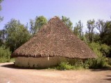 Bryn Eryr