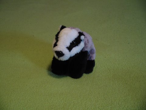 Ravensden Suma badger